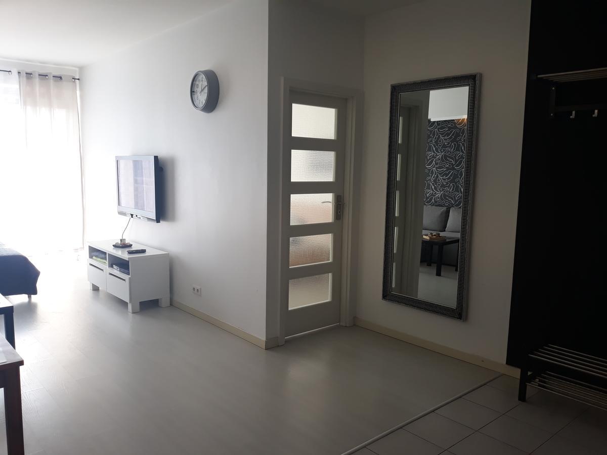 Apartament Warszawska ゴジュフ・ヴィエルコポルスキ エクステリア 写真
